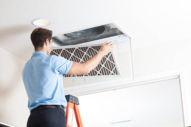 Best Air Quality Test  in Buchanan, GA